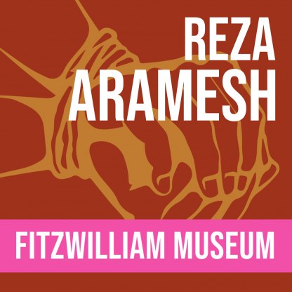 Reza Aramesh's Action 125 in the Fitzwilliam